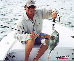 Boxfish photo