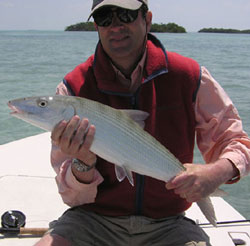 Bone fish on fly