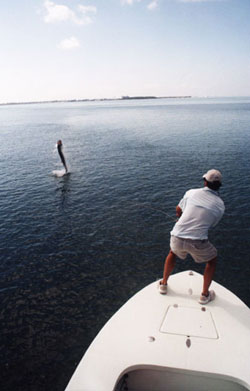 Key West fly fishing for tarpon